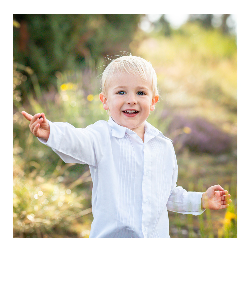 zwei Hunde sitzen nebeneinander im Wald