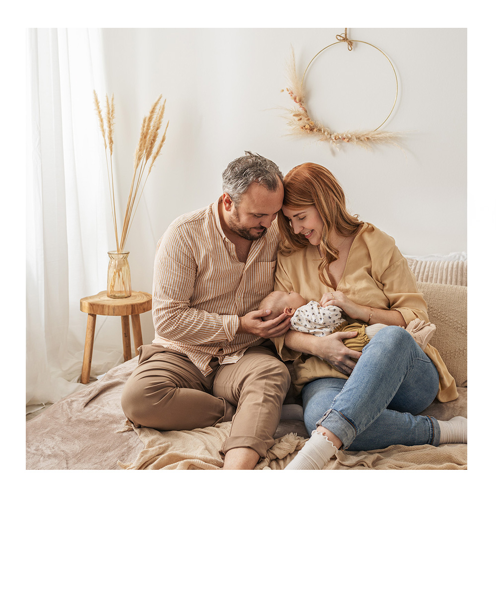 weihnachtliches Studiofoto eines Dackels mit Lichtern im Hintergrund