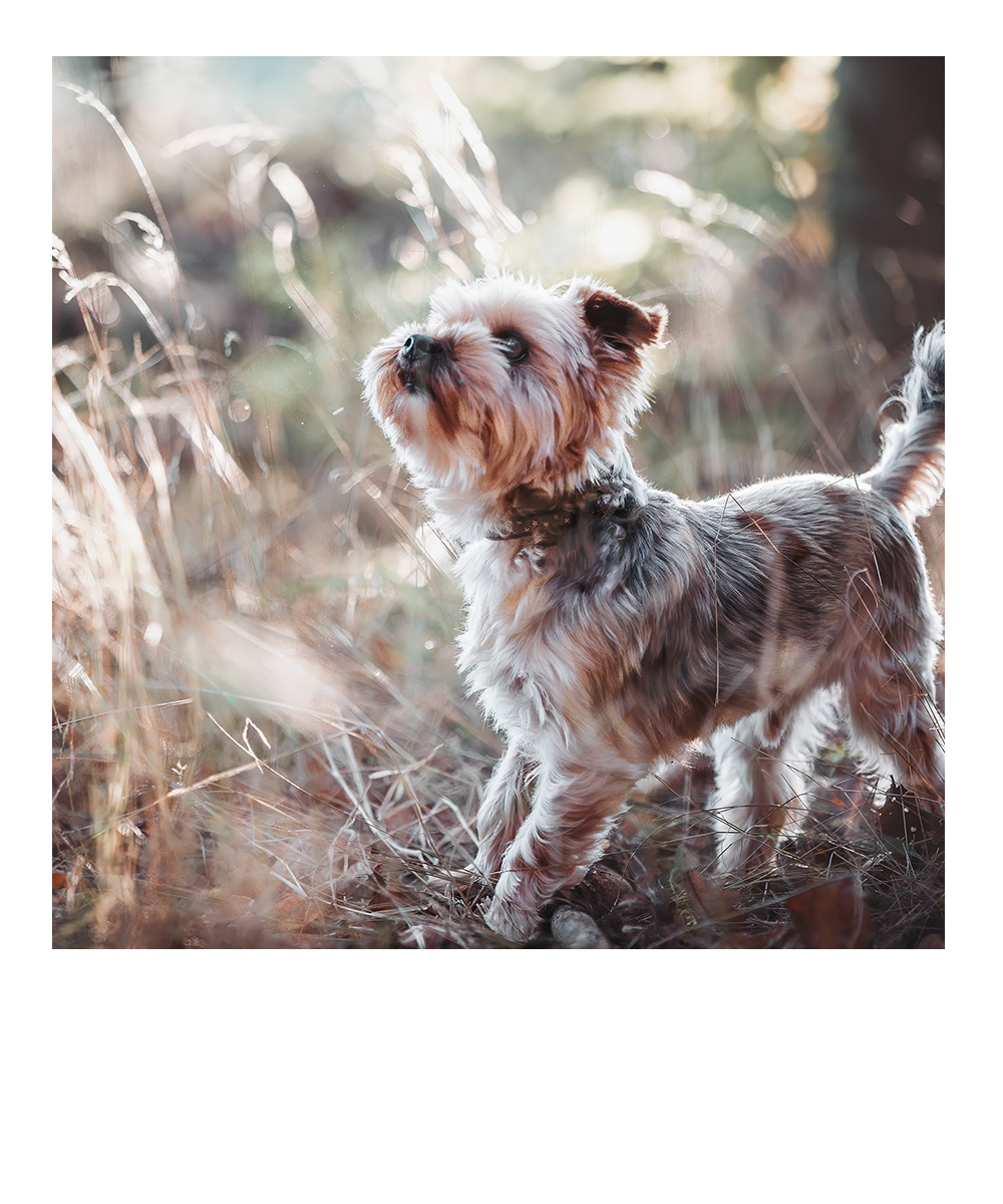 schlafendes Baby in weiß