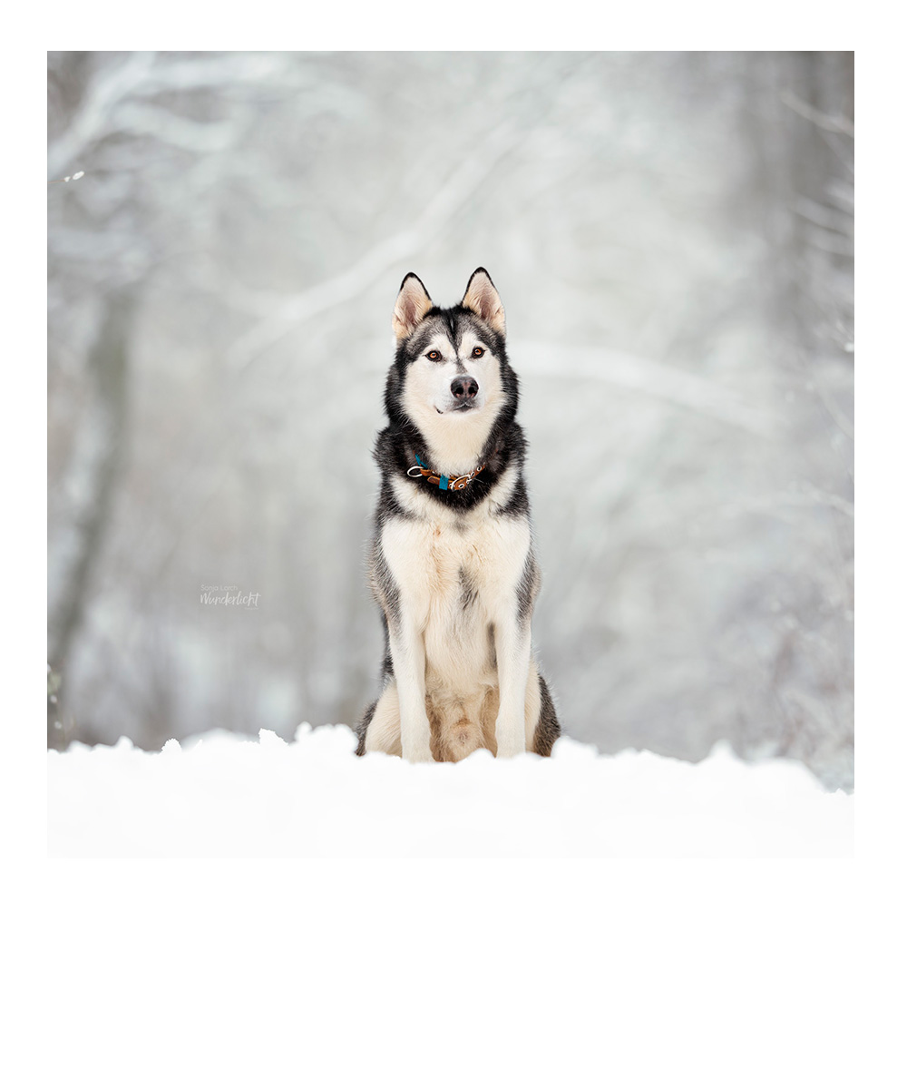 glückliches Brautpaar