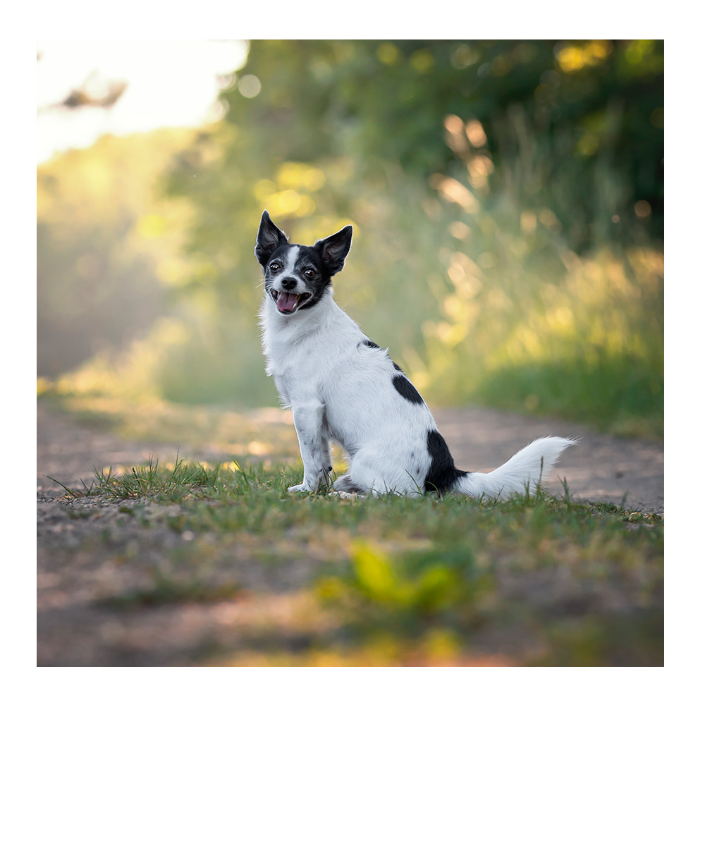 Schwarzweißbild, Frau leht an Wand, schaut auf ihren Babybauch